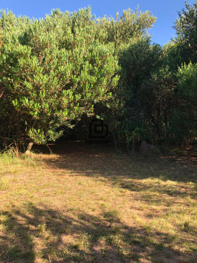 Chacra ID.1126 - Ruta 39, Km 46