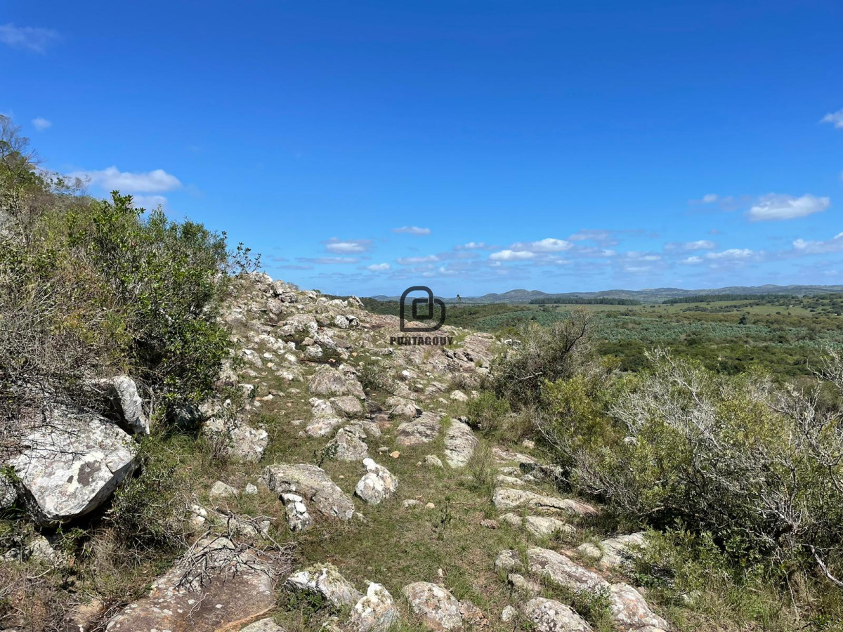 Campo Ref.264 - Venta campo
