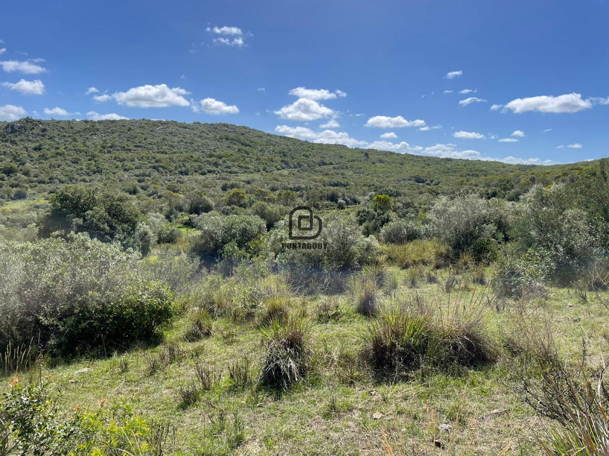 Campo Ref.264 - Venta campo