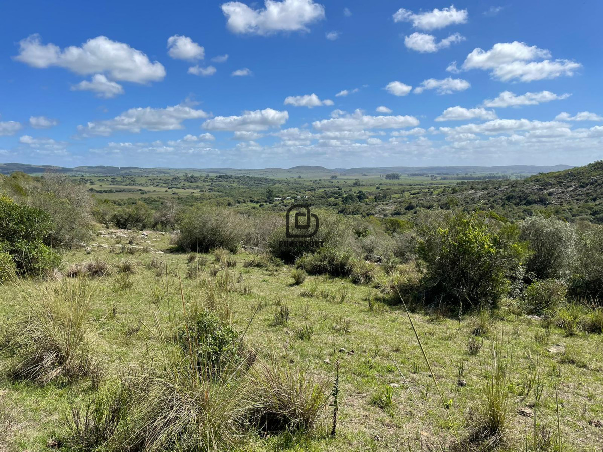 Campo Ref.264 - Venta campo