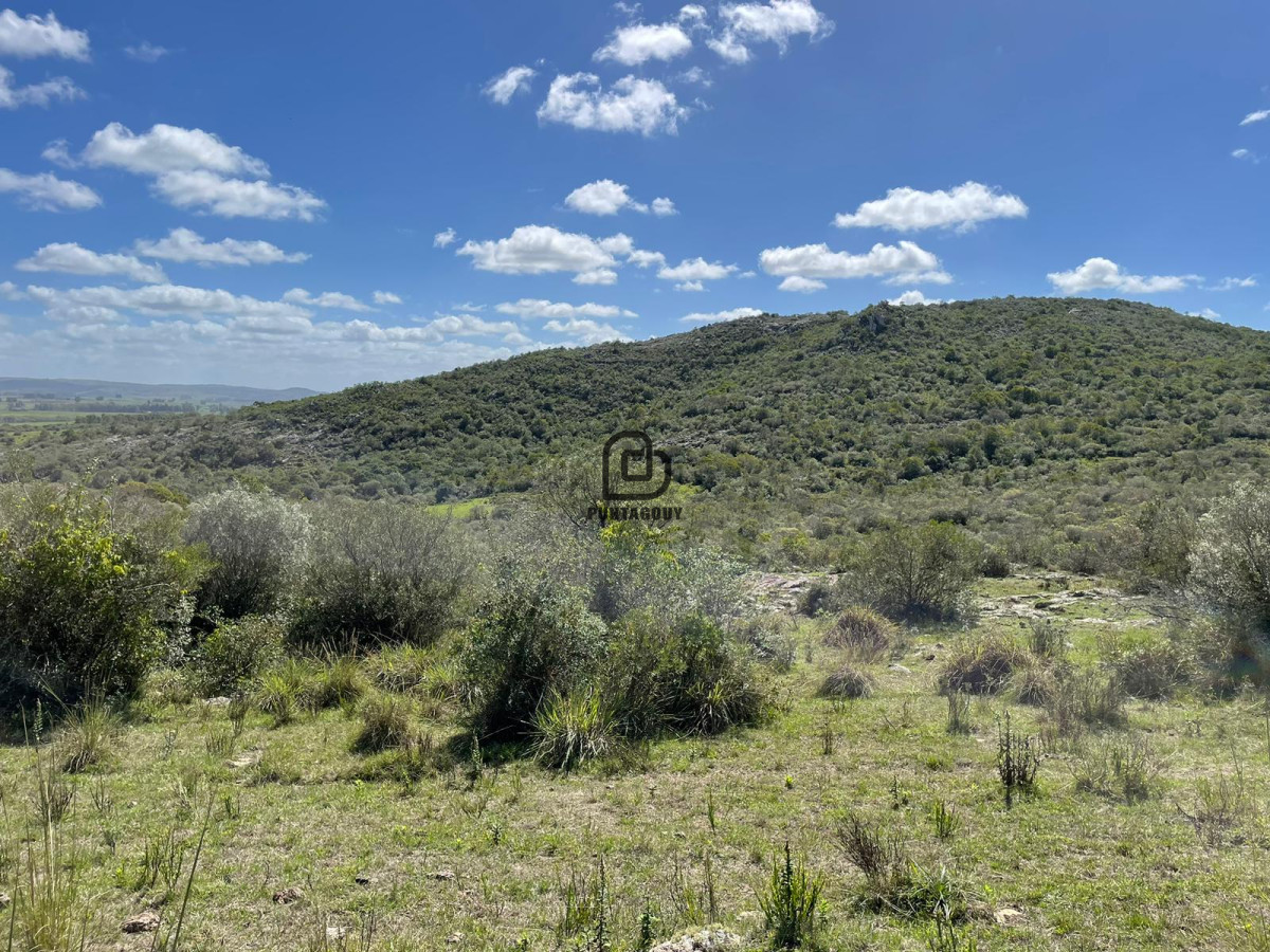 Campo Ref.264 - Venta campo