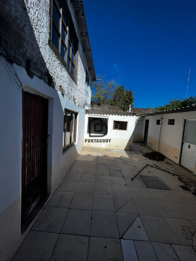 Local Comercial ID.595 - local comercial en centro de Maldonado