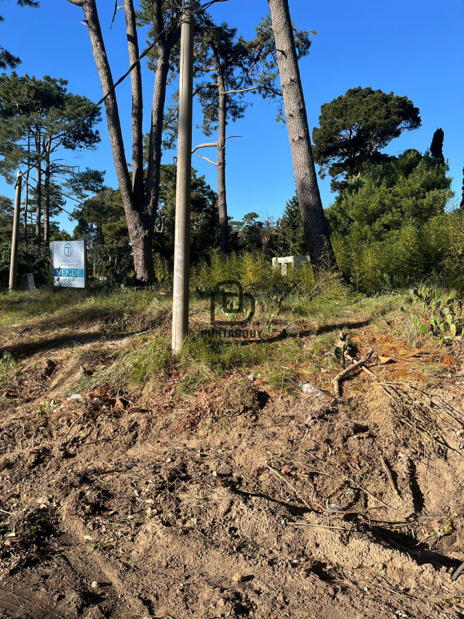 Terreno ID.1777 - Terreno en excelente zona comercial