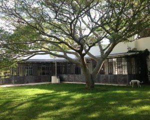 Venta y Alquiler Temporario de Casa en Laguna Garzón