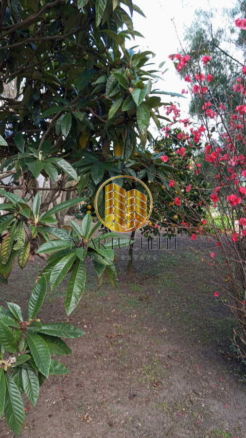 Casa ID.102 - Casa en Venta ubicada en San Carlos