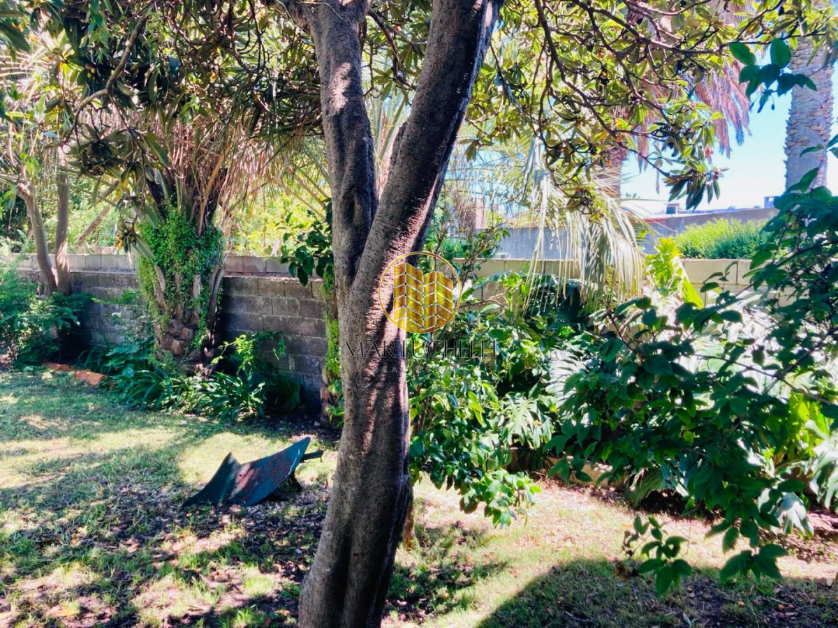 Casa ID.220 - Casa de 4 dormitorios en Alquiler, en el Centro de San Carlos