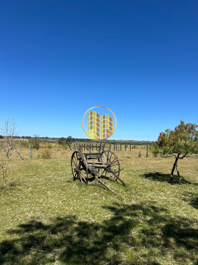 Casa ID.149 - En Venta: Campo de 10 ha con casa, piscina y excelente ubicación sobre Ruta 39