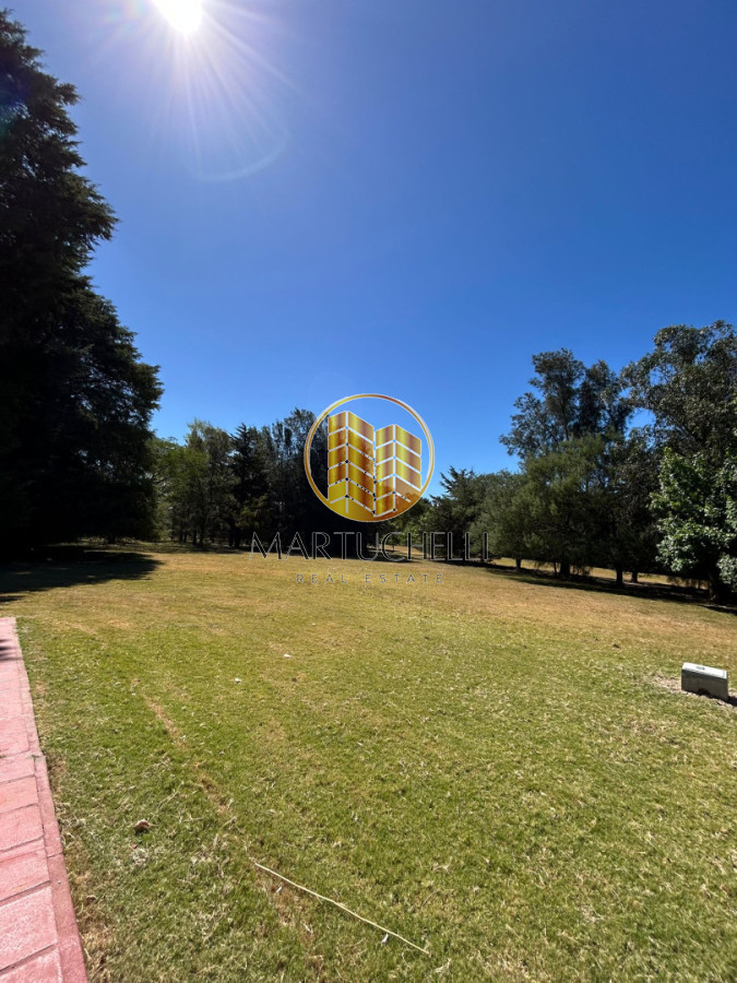 Casa ID.149 - En Venta: Campo de 10 ha con casa, piscina y excelente ubicación sobre Ruta 39