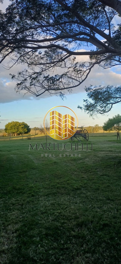 Casa ID.149 - En Venta: Campo de 10 ha con casa, piscina y excelente ubicación sobre Ruta 39