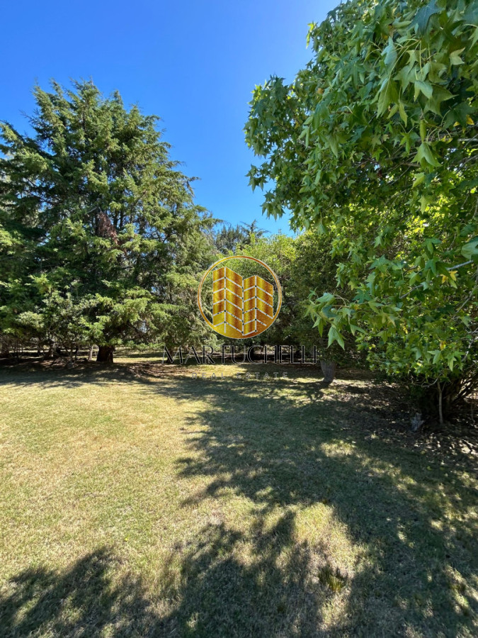 Casa ID.149 - En Venta: Campo de 10 ha con casa, piscina y excelente ubicación sobre Ruta 39