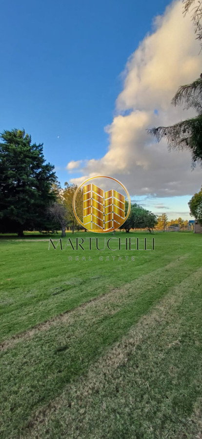 Casa ID.149 - En Venta: Campo de 10 ha con casa, piscina y excelente ubicación sobre Ruta 39