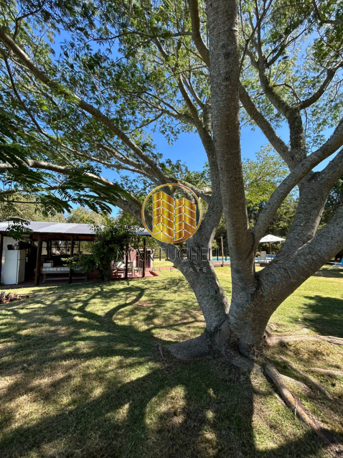 Casa ID.149 - En Venta: Campo de 10 ha con casa, piscina y excelente ubicación sobre Ruta 39