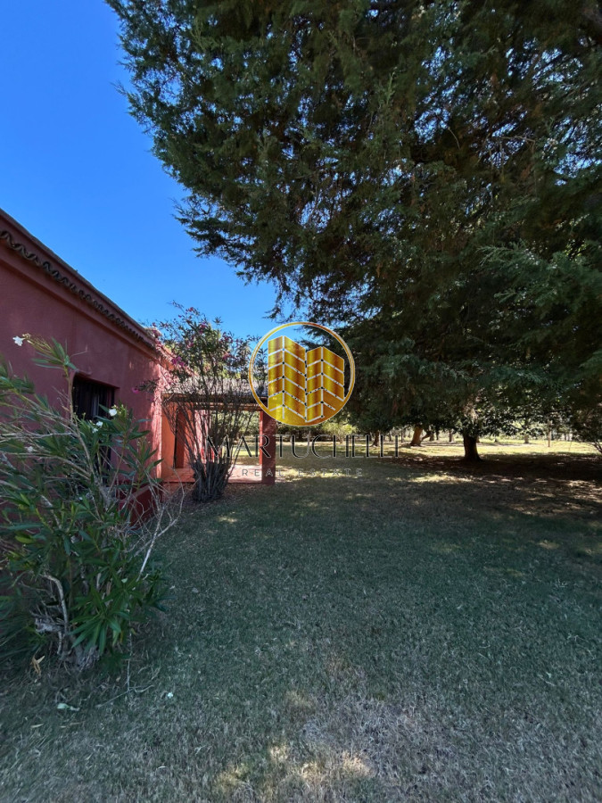 Casa ID.149 - En Venta: Campo de 10 ha con casa, piscina y excelente ubicación sobre Ruta 39