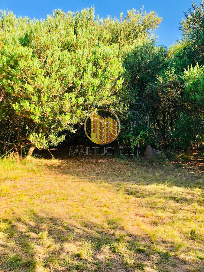 Chacra ID.41 - Chacra de 7 hectáreas con 2 casas, piscina, invernáculos en Venta
