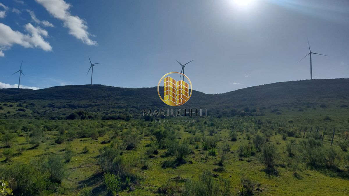 Chacra ID.49 - Chacras en venta, 5,6,7 hectáreas, sierra de los caracoles