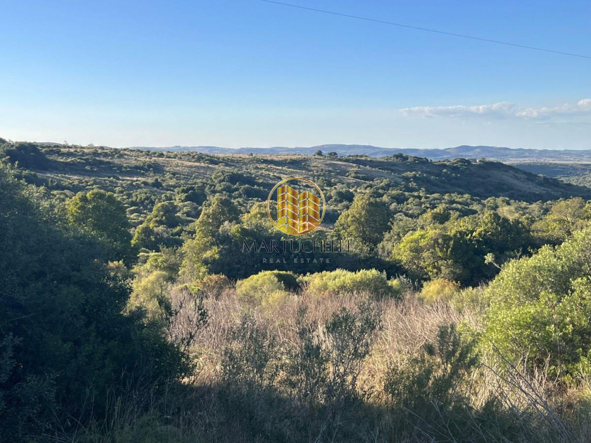 Chacra ID.234 - Chacras de 10 ha en venta, sobre Ruta 39