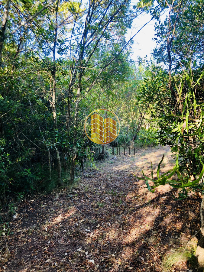 Chacra ID.41 - Chacra de 7 hectáreas con 2 casas, piscina, invernáculos en Venta