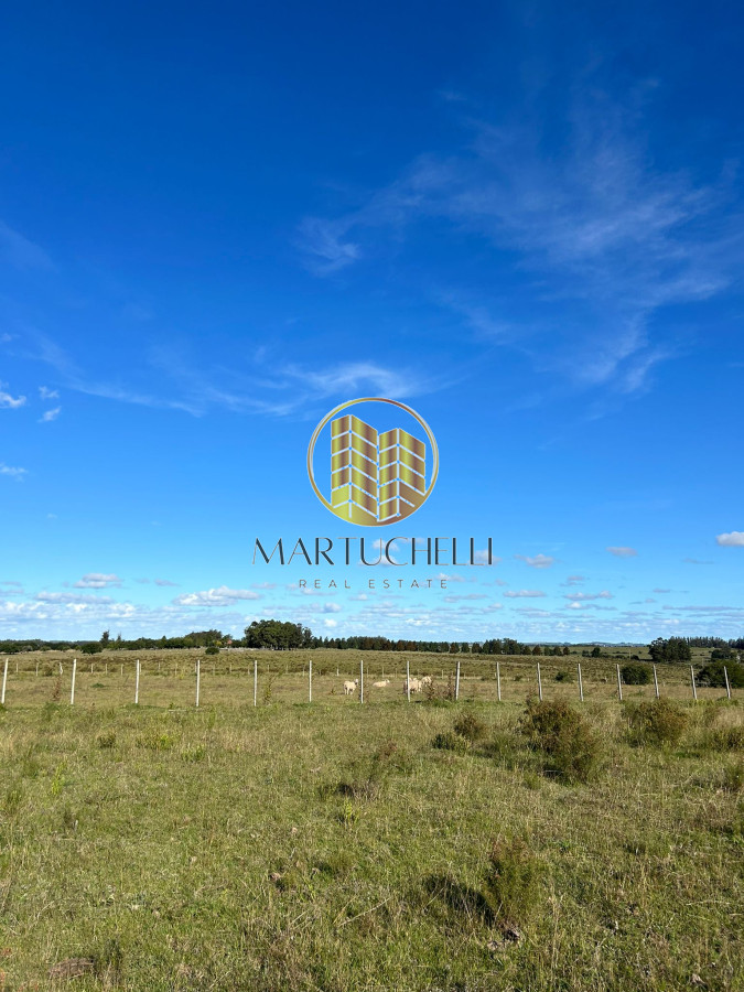 Chacra ID.71 - Chacra de 7ha en con Casa, en Venta, San Carlos