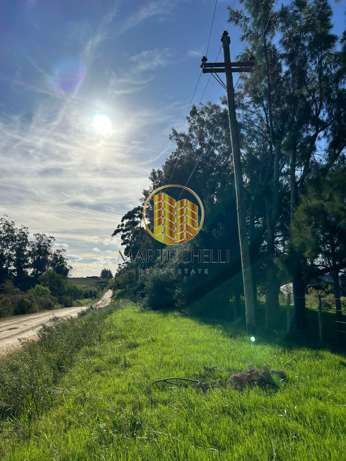 Chacra ID.71 - Chacra de 7ha en con Casa, en Venta, San Carlos