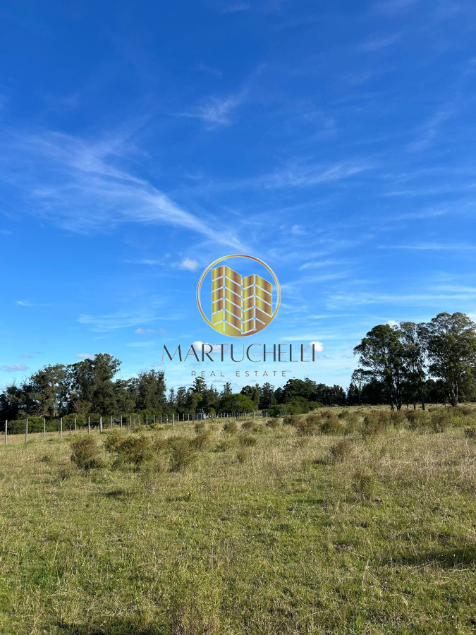Chacra ID.71 - Chacra de 7ha en con Casa, en Venta, San Carlos