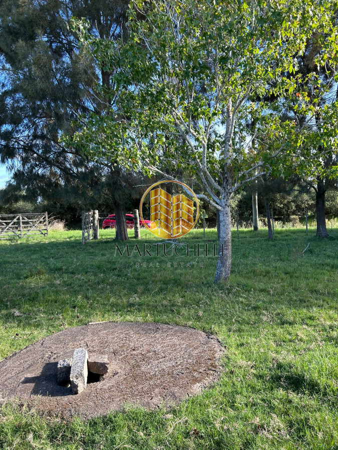 Chacra ID.71 - Chacra de 7ha en con Casa, en Venta, San Carlos
