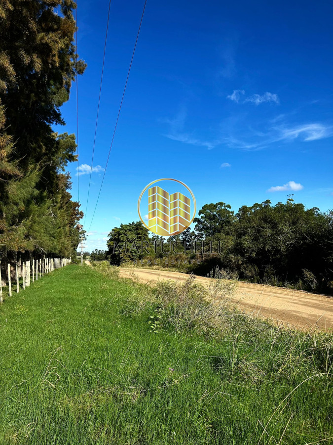 Chacra ID.71 - Chacra de 7ha en con Casa, en Venta, San Carlos