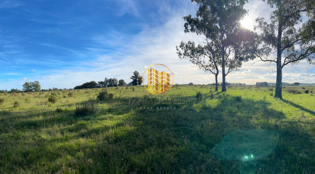 Chacra ID.71 - Chacra de 7ha en con Casa, en Venta, San Carlos