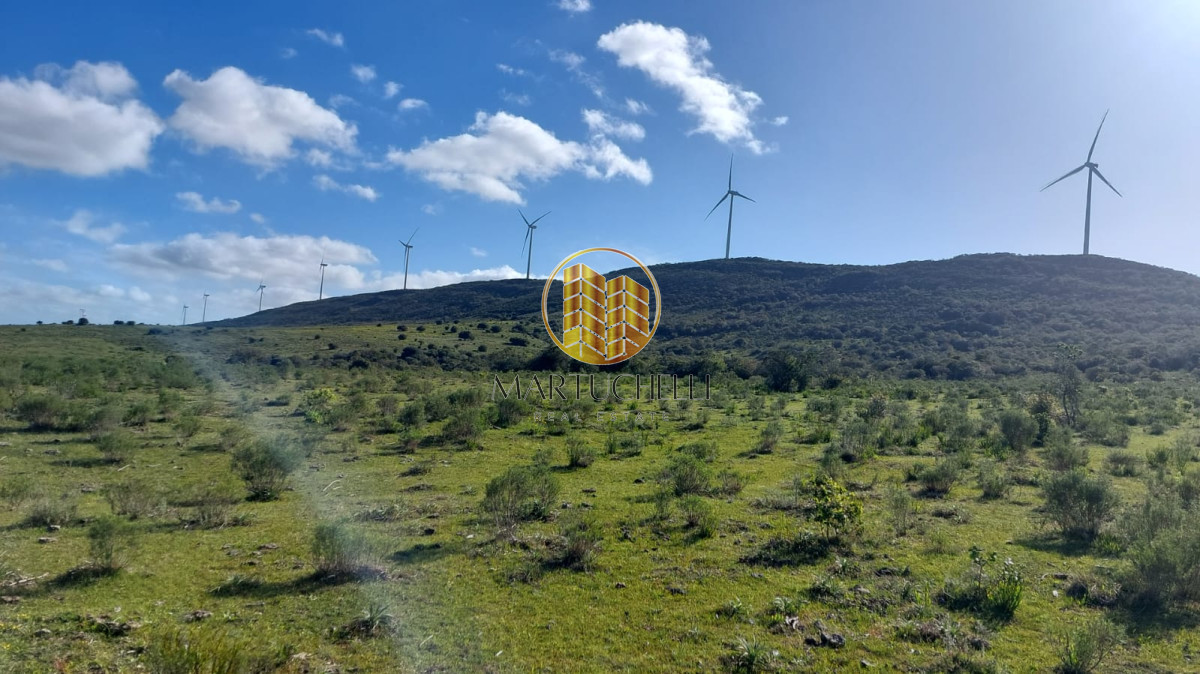 Chacra ID.49 - Chacras en venta, 5,6,7 hectáreas, sierra de los caracoles