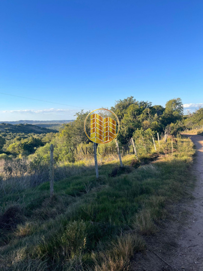 Chacra ID.234 - Chacras de 10 ha en venta, sobre Ruta 39