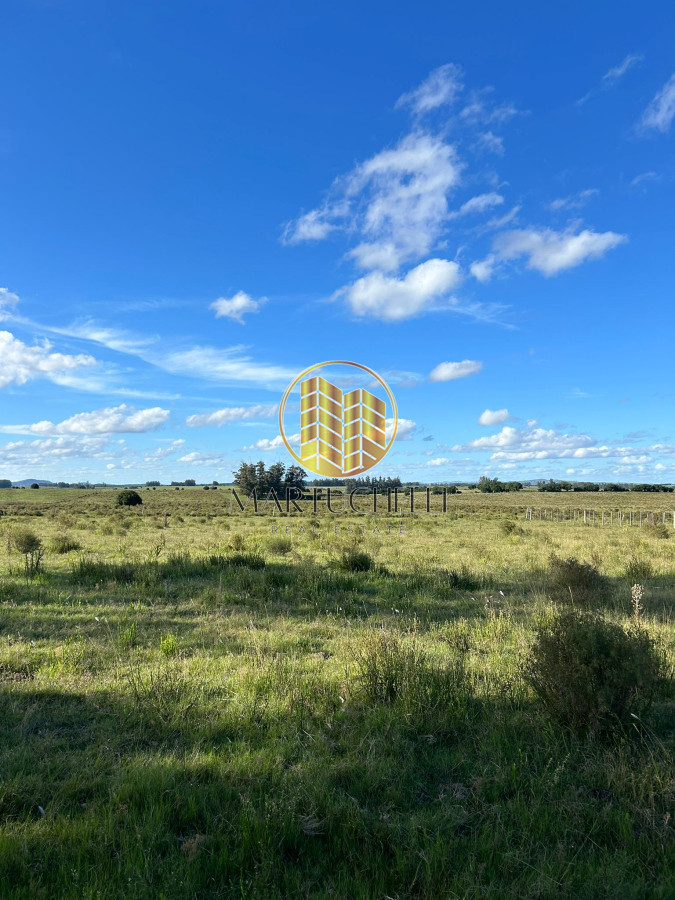 Chacra ID.71 - Chacra de 7ha en con Casa, en Venta, San Carlos