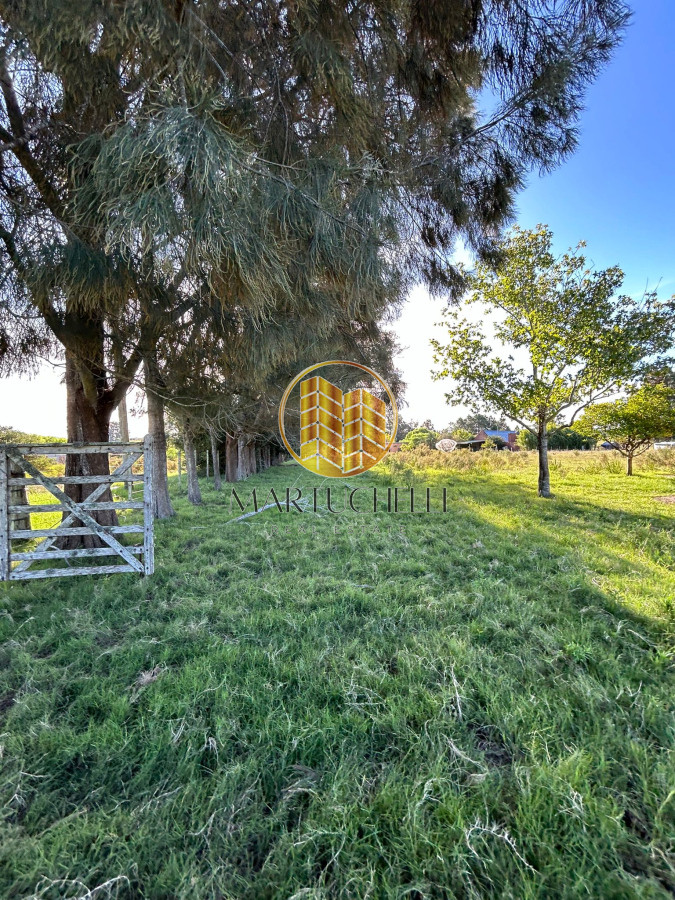Chacra ID.71 - Chacra de 7ha en con Casa, en Venta, San Carlos