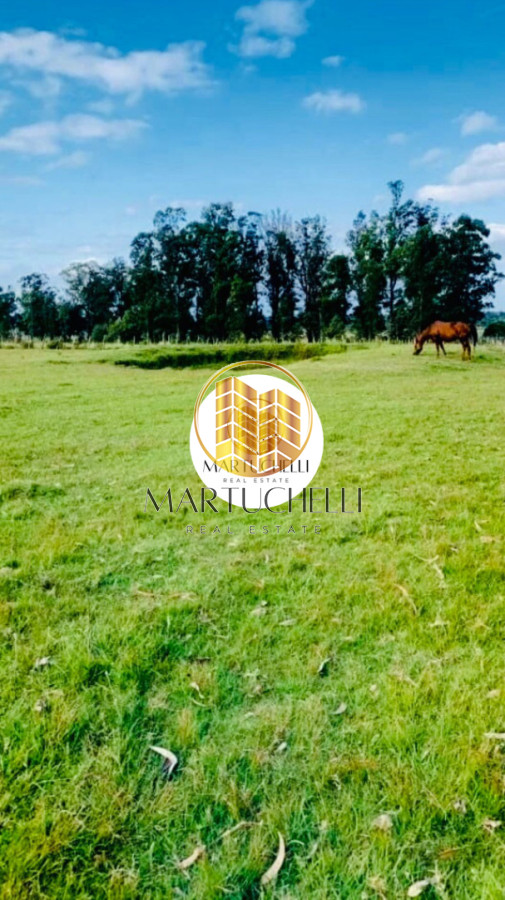 Chacra ID.164 - Chacra 8ha Los Ceibos