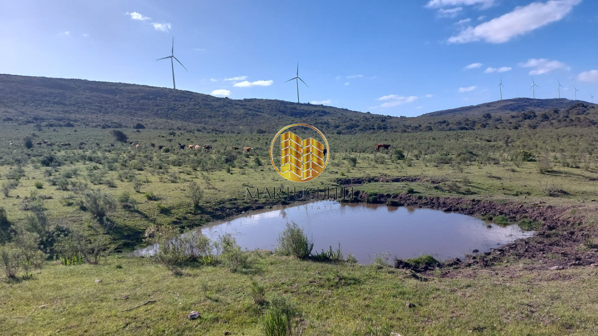 Chacra ID.49 - Chacras en venta, 5,6,7 hectáreas, sierra de los caracoles
