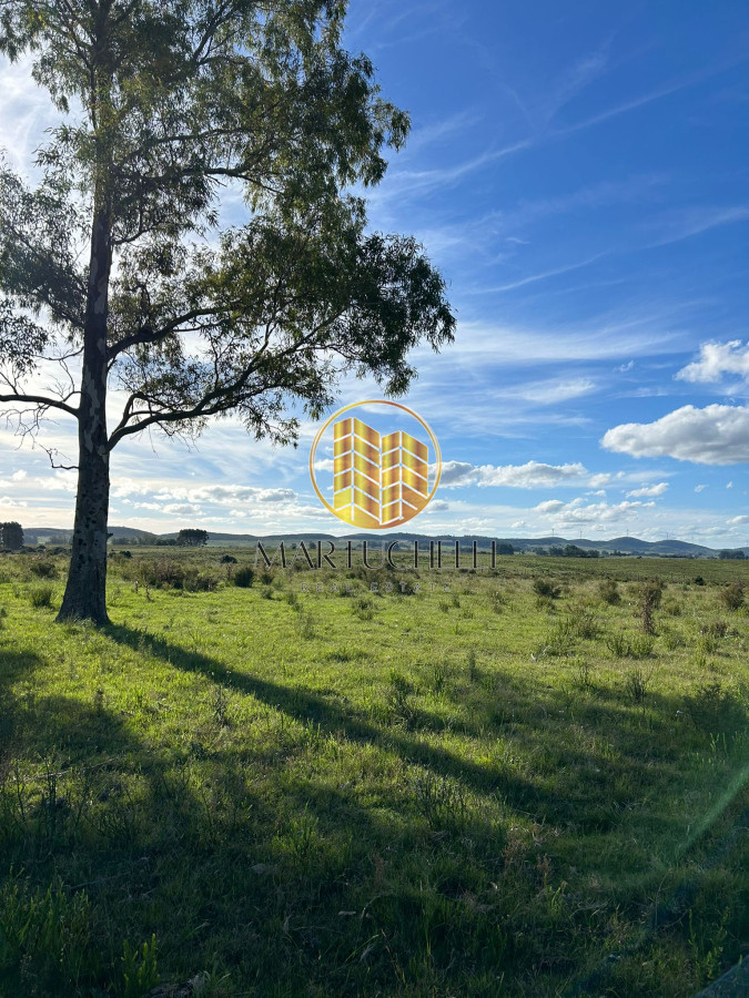 Chacra ID.71 - Chacra de 7ha en con Casa, en Venta, San Carlos