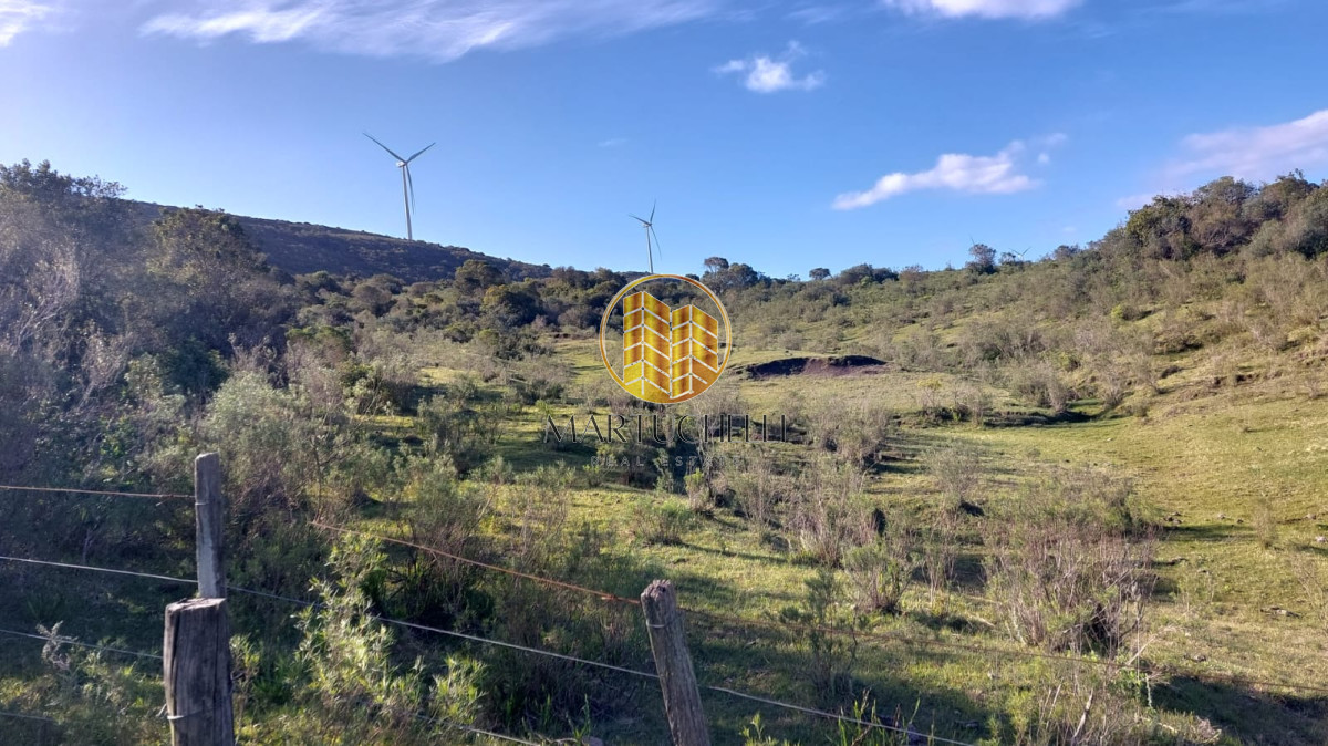 Chacra ID.49 - Chacras en venta, 5,6,7 hectáreas, sierra de los caracoles