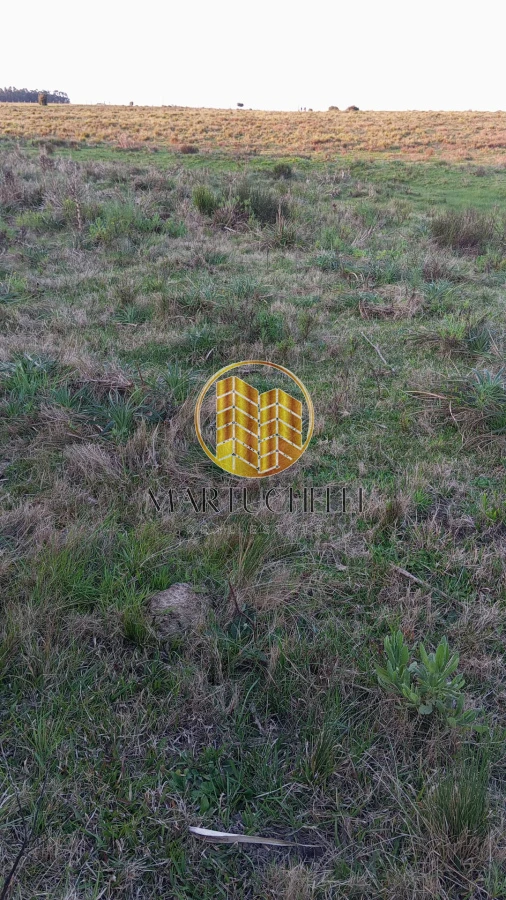Chacra ID.115 - Chacra de 3ha en Venta, San Carlos, con financiación 