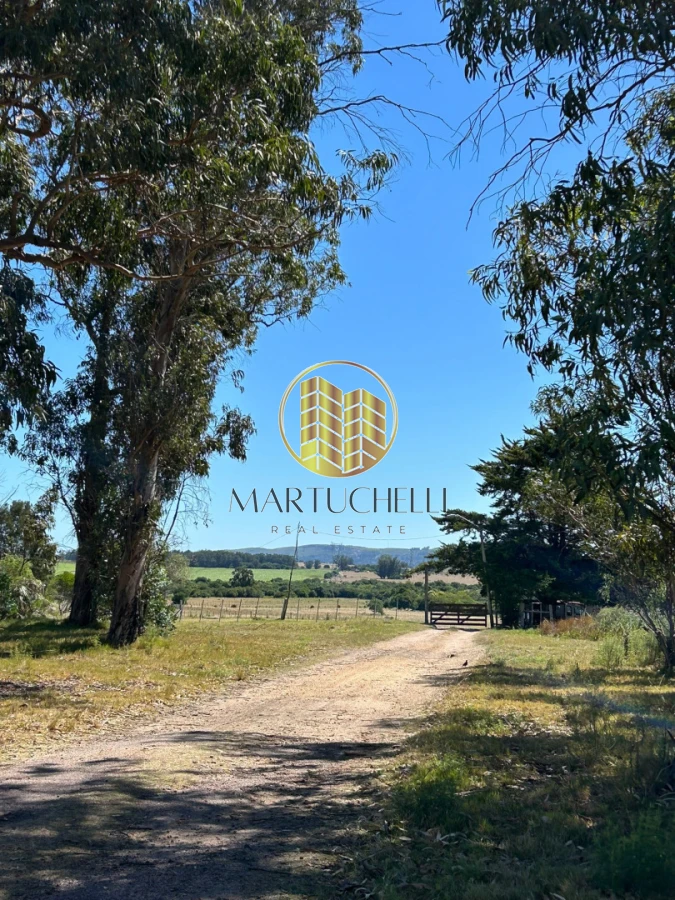 Chacra ID.148 - Chacra de 6 ha con Casa de 2 dormitorios en Venta