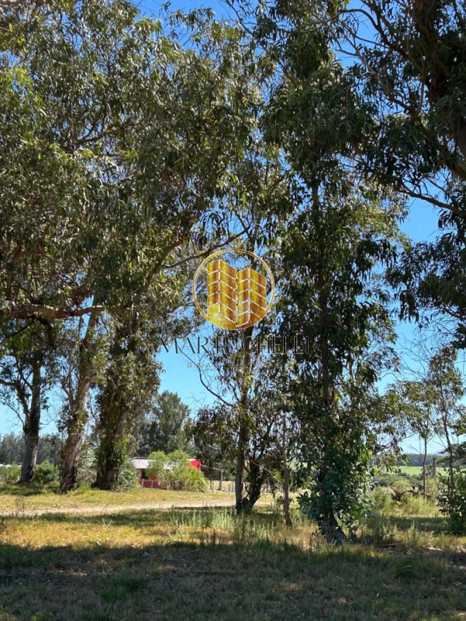 Chacra ID.148 - Chacra de 6 ha con Casa de 2 dormitorios en Venta