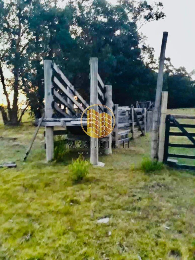 Chacra ID.164 - Chacra 8ha Los Ceibos