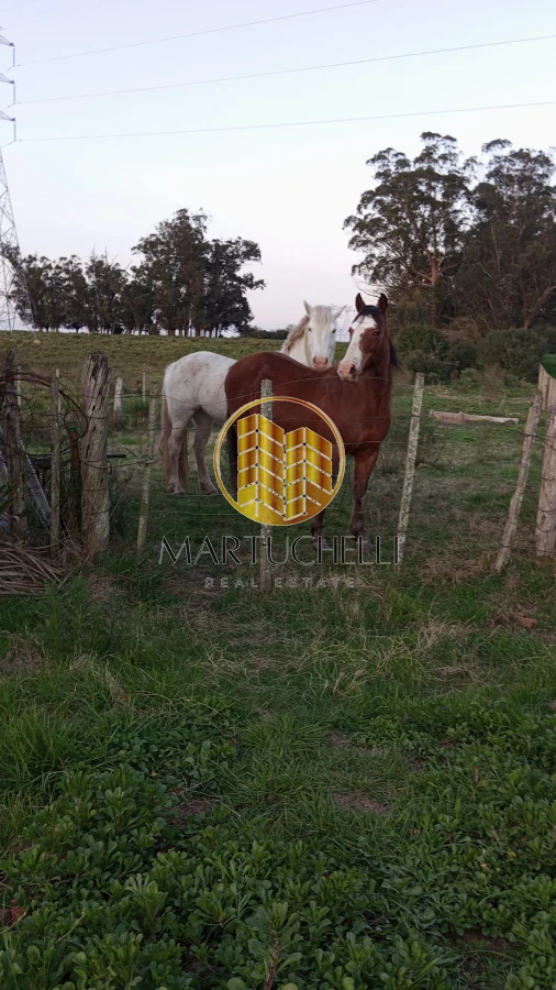 Chacra ID.115 - Chacra de 3ha en Venta, San Carlos, con financiación 