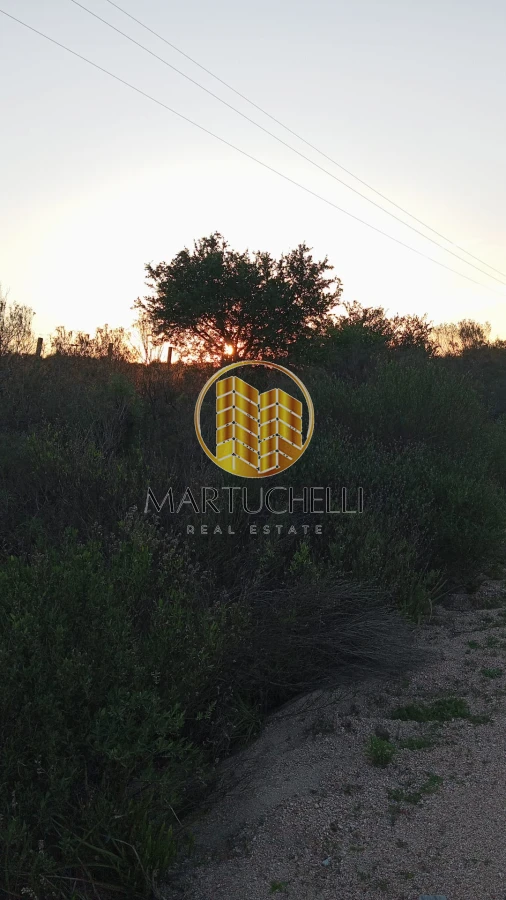 Chacra ID.115 - Chacra de 3ha en Venta, San Carlos, con financiación 
