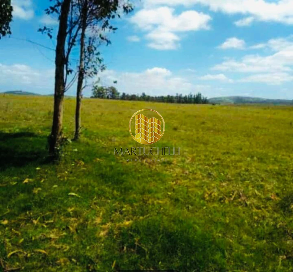 Chacra ID.164 - Chacra 8ha Los Ceibos