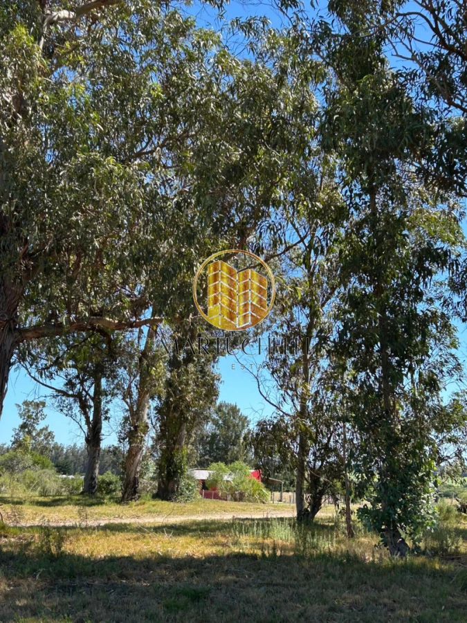 Chacra ID.148 - Chacra de 6 ha con Casa de 2 dormitorios en Venta