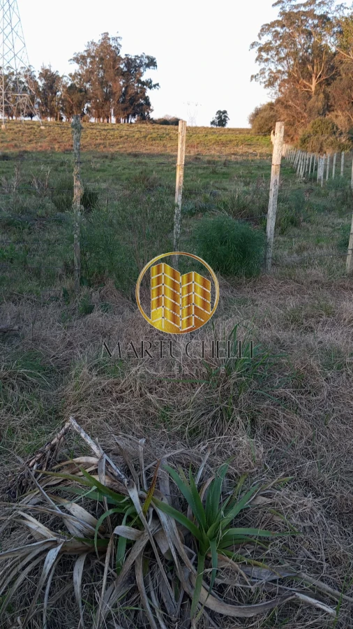 Chacra ID.115 - Chacra de 3ha en Venta, San Carlos, con financiación 