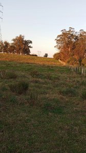 Chacra de 3ha en Venta, San Carlos, con financiación 