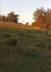 Chacra de 3ha en Venta, San Carlos, con financiación
