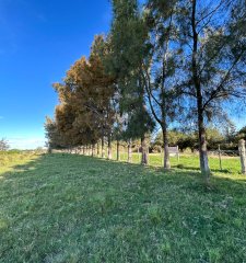 Chacra de 7ha en con Casa, en Venta, San Carlos