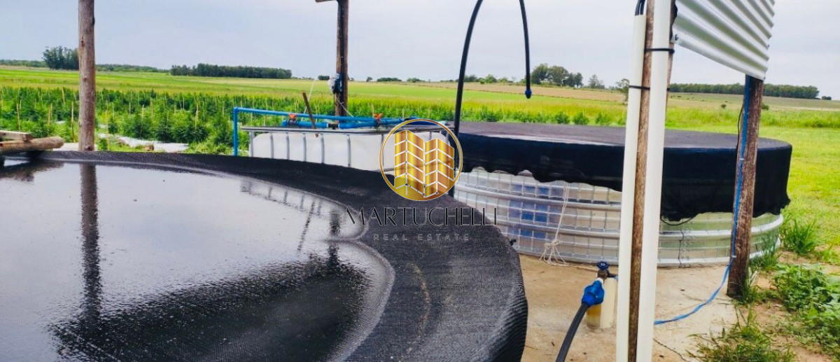 Campo Ref.160 - Campo agícola 160 ha en venta, Canelones