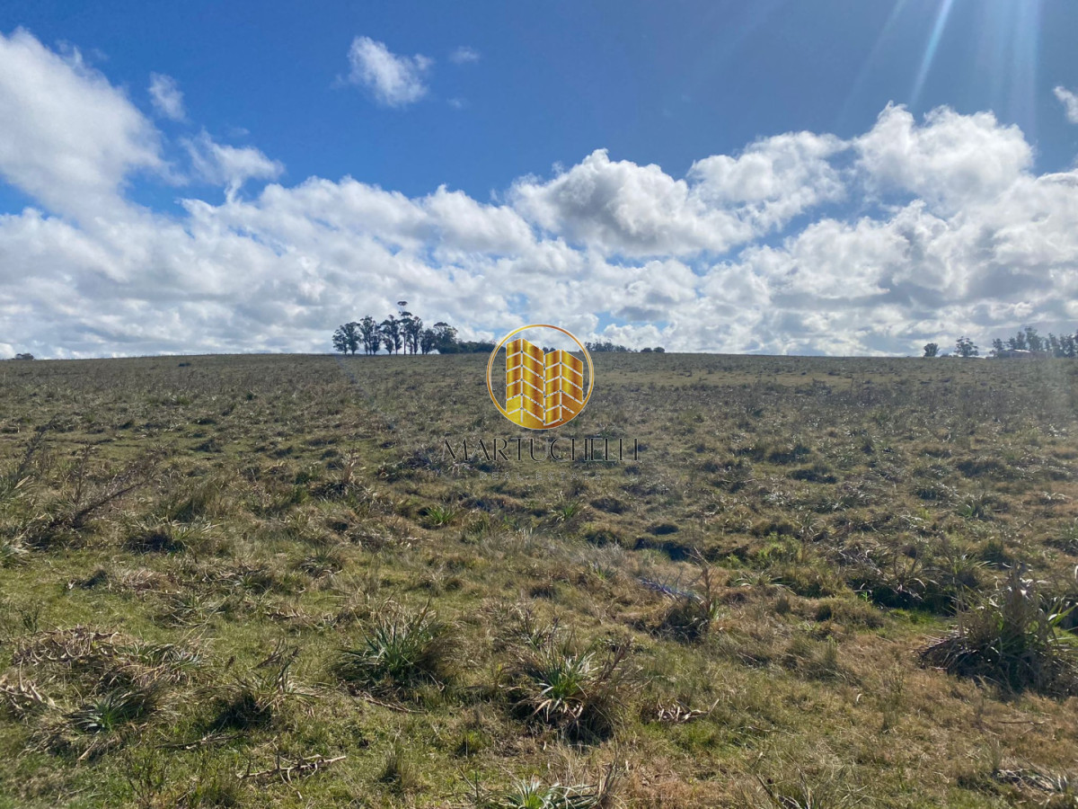 Campo Ref.167 - Campo en Jose Ignacio con vista a la laguna