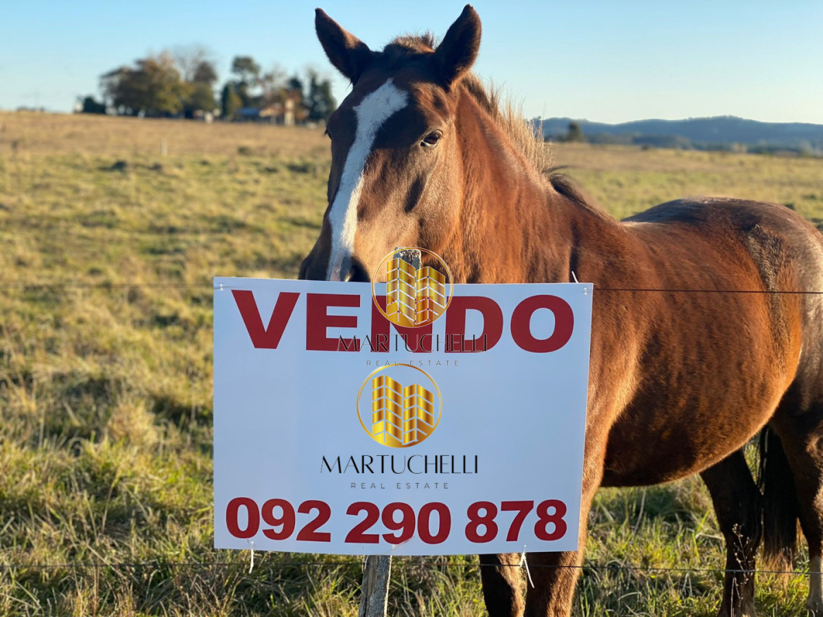 Campo Ref.159 - Campo de 54 ha en venta en San Carlos